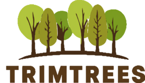 Logotipo de Trimtrees, empresa de jardinería y servicios forestales