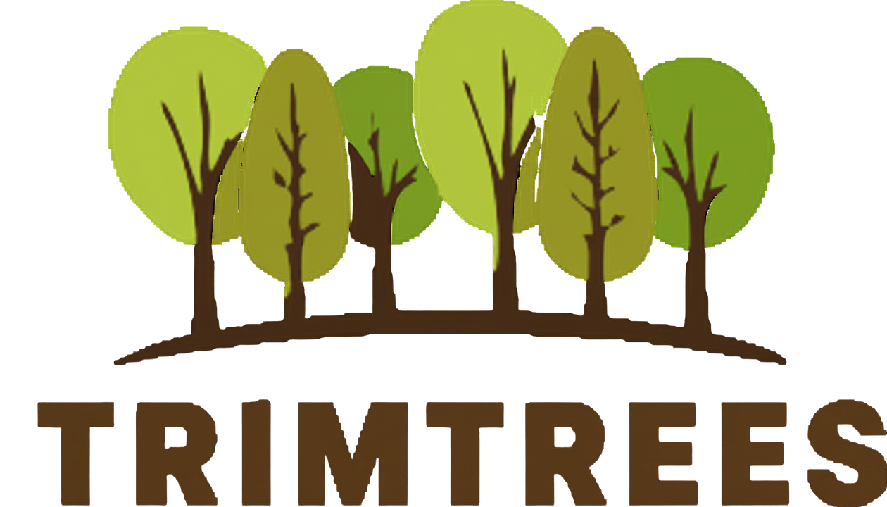 Logotipo de Trimtrees, empresa de jardinería y servicios forestales